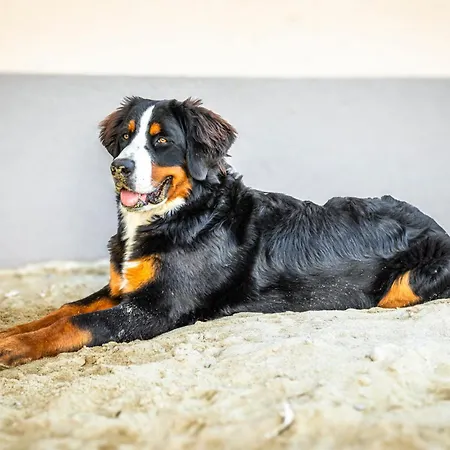 Parque de Campismo Jans Biohof Anthering