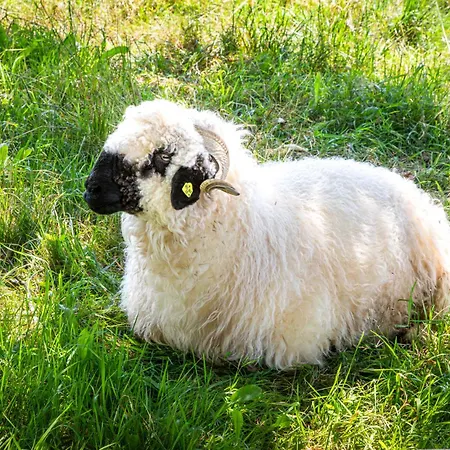 Jans Biohof Anthering