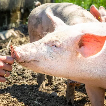Jans Biohof Anthering